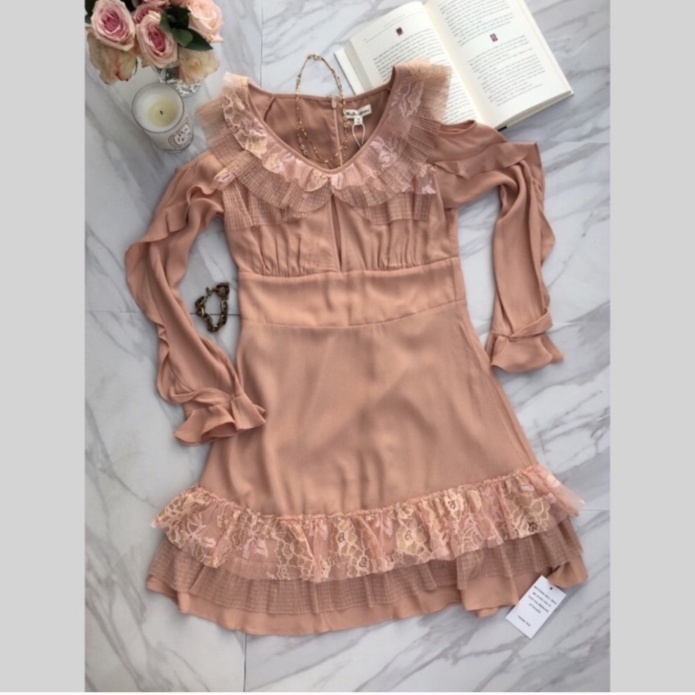 For Love and Lemons Mini Dress in Blush/Nude